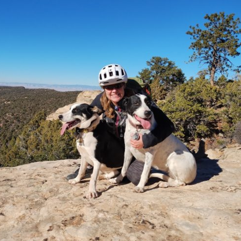 A woman wearing a helmet is sitting on a rocky outcrop with two dogs. She has her arms around both dogs, who are panting happily. The background shows a scenic view of trees and mountains under a clear blue sky. It appears to be a sunny day, and they are enjoying a moment of rest during an outdoor adventure.